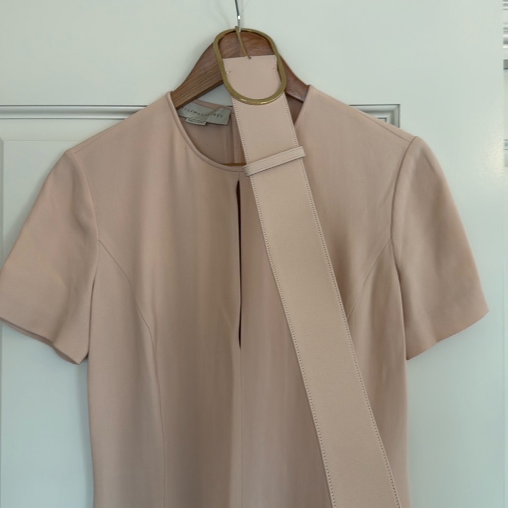 Stella McCartney Pink Dress and Belt Size 40